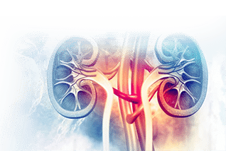 Advanced Renal health Check Up-15